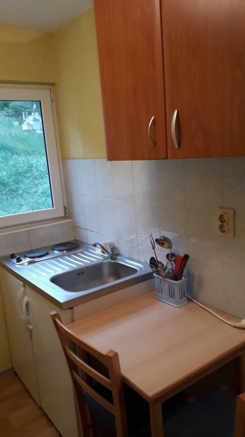 Vila Ruska Prčanj Exteriör bild